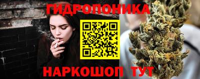 гидра Краснознаменск