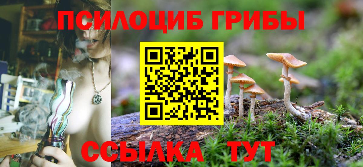 Псилоцибиновые грибы GOLDEN TEACHER Костомукша