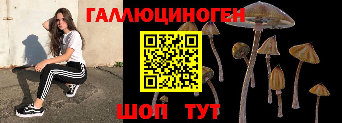 Псилоцибиновые грибы GOLDEN TEACHER  Псилоцибиновые грибы мухоморы  Вход с VPN  дарнет шоп  Костомукша 